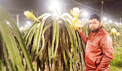 à¦¬à¦¿à¦¦à§à¦¯à§à¦¤à§‡à¦° à¦†à¦²à§‹à§Ÿ à¦…à¦§à¦¿à¦• à¦®à§à¦¨à¦¾à¦«à¦¾à¦°Â à¦¸à§à¦¬à¦ªà§à¦¨ à¦¡à§à¦°à¦¾à¦—à¦¨ à¦šà¦¾à¦·à¦¿ à¦®à¦¿à¦œà¦¾à¦¨à§à¦°à§‡à¦°